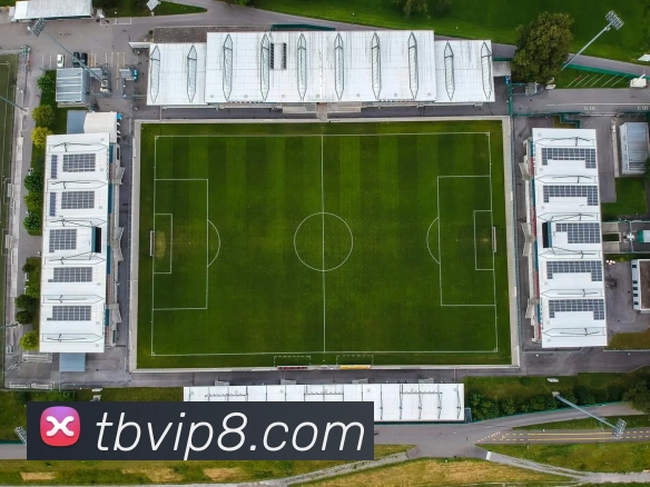 通博娱乐城服务体系